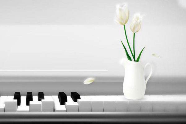 網(wǎng)站建設(shè)